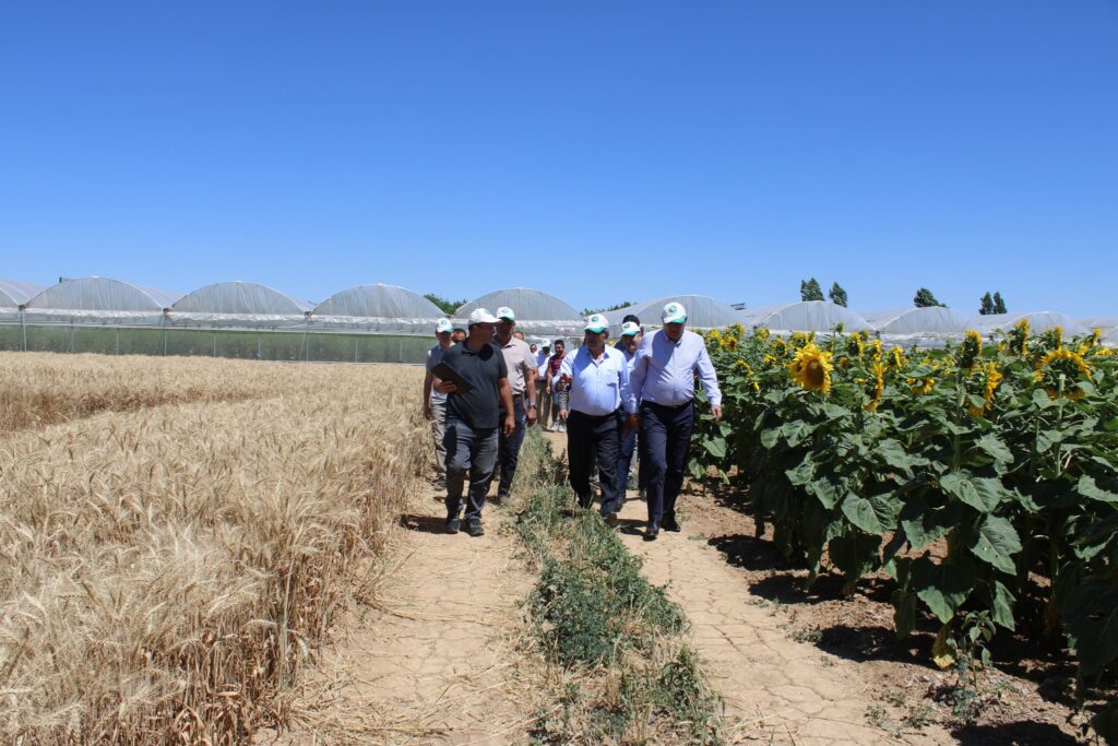 S.S. Akşehir Ilgın Pancar Ekicileri Kooperatifi’nden Yeni Tohum Çeşitleri