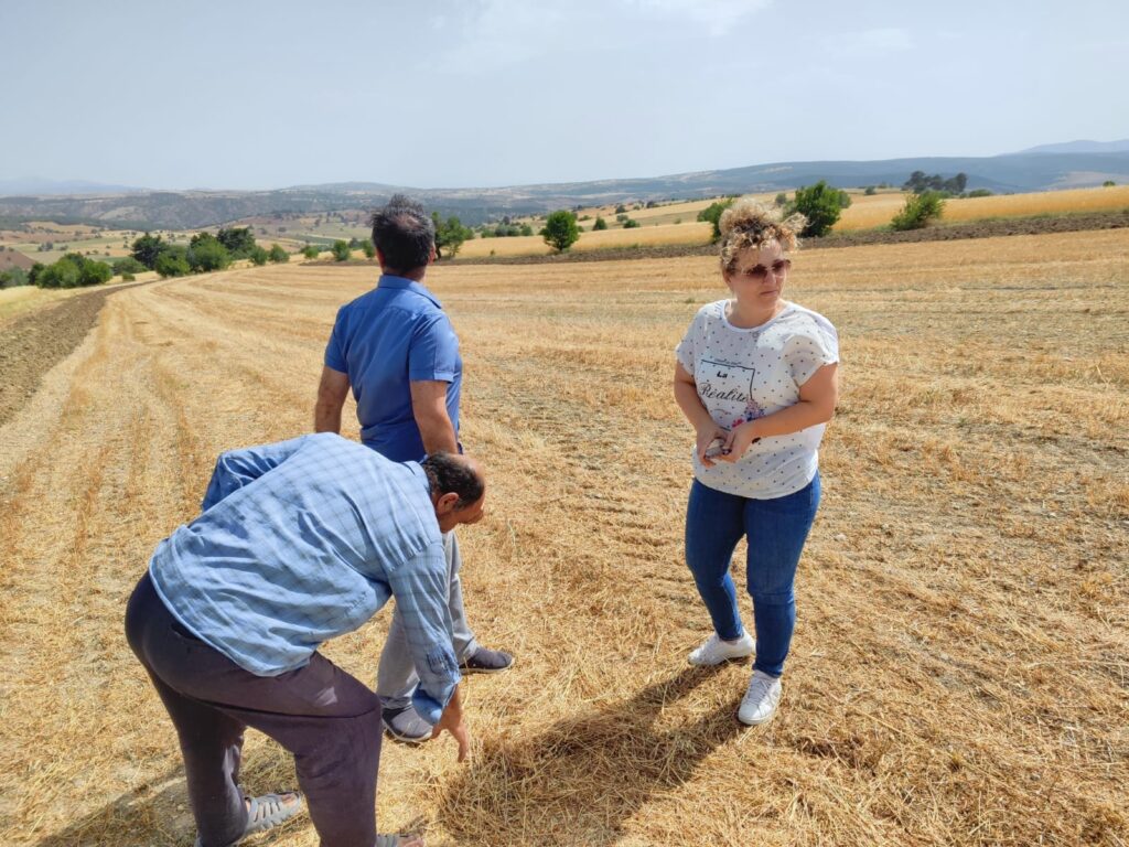 ILGINDA ARAZİ KONTROLLERİ DEVAM EDİYOR