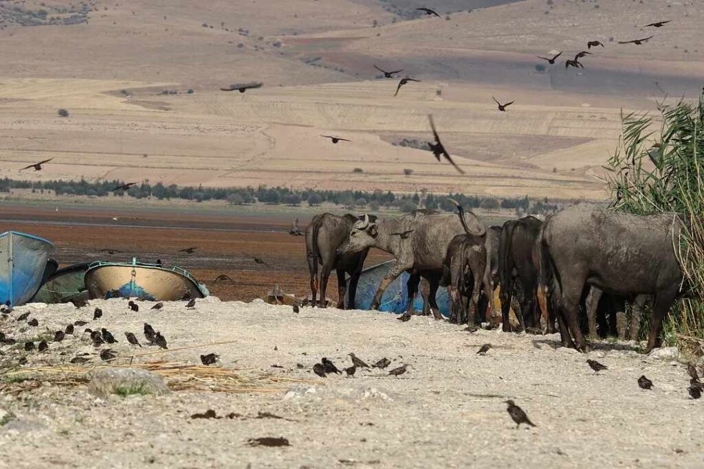 ACI GERÇEKLER FOTOĞRAFLAR İLE ANLATILIYOR.